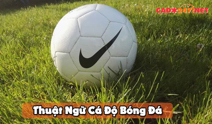 Tổng hợp các thuật ngữ cá độ bóng đá chuyên sâu cho người chơi