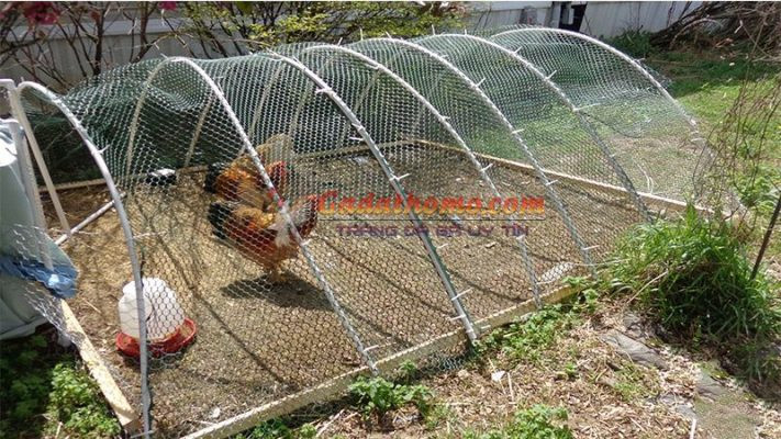 Làm chuồng gà bằng ống nhựa PVC siêu tiết kiệm