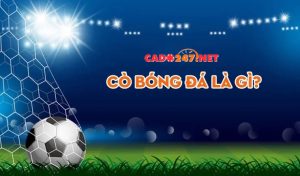 Tìm hiểu về cò bóng đá là gì và yếu tố cần có của cò bóng đá