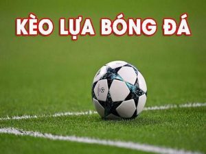 Kèo lựa là gì? Bí quyết đặt kèo lựa giành chiến thắng