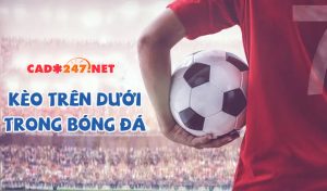 Khám phá kèo trên dưới là gì tại nhà cái cá cược trực tuyến