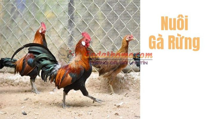 NHẬN ĐỊNH, SOI KÈO YOKOHAMA MARINOS VS JEONBUK, 21H00 NGÀY 19/4/2022