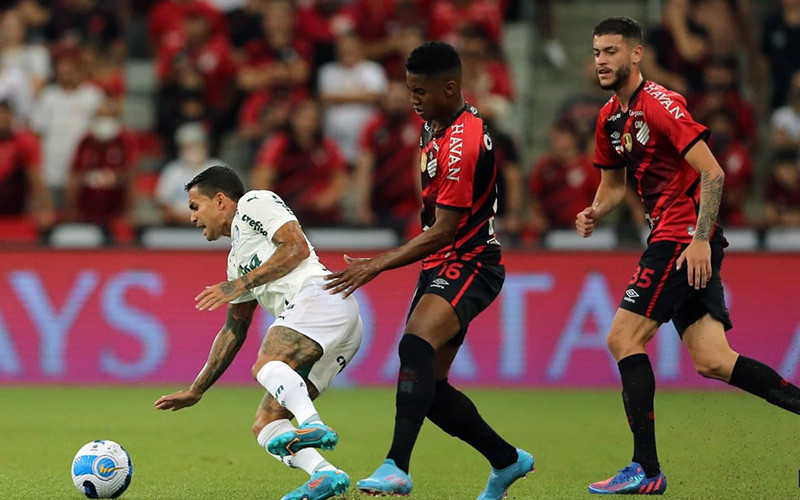 Soi kèo Palmeiras vs Paranaense lúc 7h00 ngày 3/7/2022
