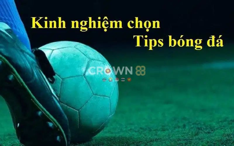 Tips bóng đá là gì? Kinh nghiệm khi chọn Tips bóng đá
