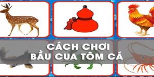 Hướng dẫn cách chơi bầu cua tôm cá online luôn thắng nhà cái