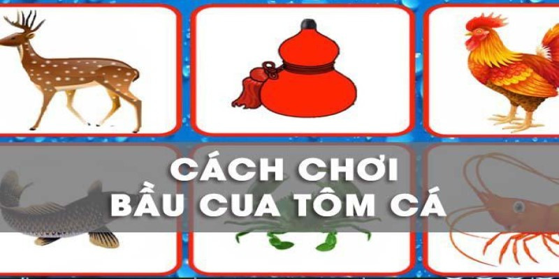 Hướng dẫn cách chơi bầu cua tôm cá online luôn thắng nhà cái