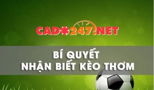 Kèo thơm đêm nay – Bí quyết nhận biết kèo thơm chắc thắng