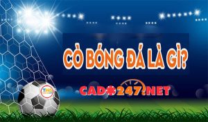 Làm giàu từ cá độ bóng đá từ nghề làm cò bóng đá như thế nào