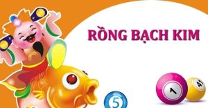 Rồng Bach Kim Là Gì