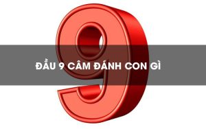 Đầu 9 Câm
