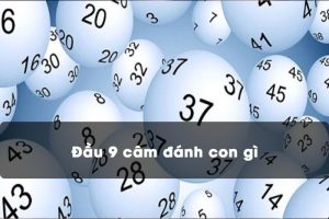 Đầu 9 Câm đánh Lô Gì ăn Chắc