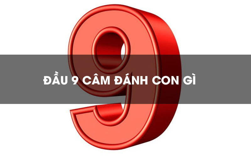 Đầu 9 câm đánh lô gì? Chia sẽ cách đánh lô đầu câm chính xác