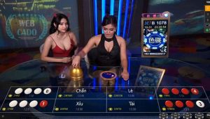 Nghe Vị Xóc đĩa