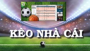 Kèo trên kèo dưới là gì? Cách soi kèo trên kèo dưới cho người mới bắt đầu