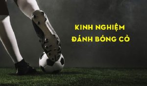 Mẹo bắt kèo cá độ bóng đá không thua từ các cao thủ