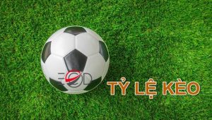 Nhận định tỷ lệ kèo nhà cái bóng đá trực tuyến mỗi ngày uy tín nhất