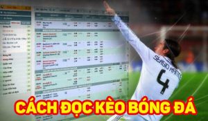 Hướng dẫn cách đọc kèo tỷ lệ bóng đá trên internet cho tân binh